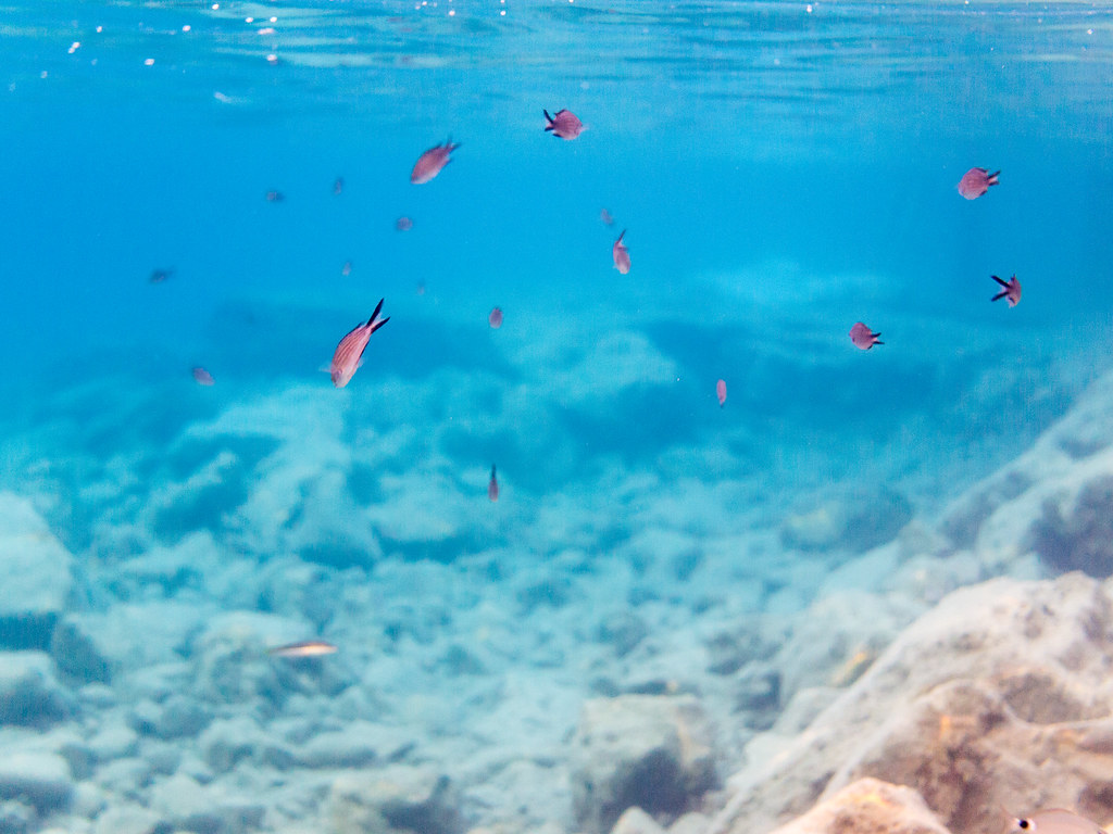 Bodrum on a Budget: Cheap Routes, Stays and Tips — Bodrum, Turkey travel guide