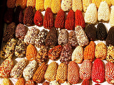 Arequipa on a Budget: Cheap Routes, Stays and Tips — Arequipa, Peru travel guide