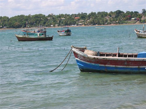 Trincomalee on a Budget: Cheap Routes, Stays and Tips — Trincomalee, Sri Lanka travel guide