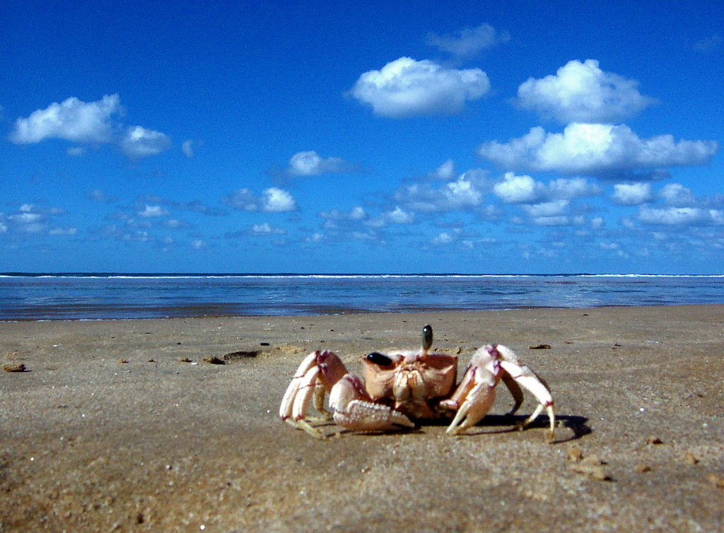 Tofo on a Budget: Cheap Routes, Stays and Tips — Tofo, Mozambique travel guide