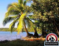 Rio Dulce on a Budget: Cheap Routes, Stays and Tips — Rio Dulce, Guatemala travel guide