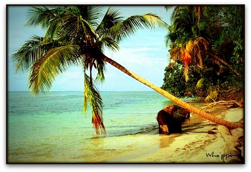 Puerto Viejo on a Budget: Cheap Routes, Stays and Tips — Puerto Viejo de Talamanca, Costa Rica travel guide