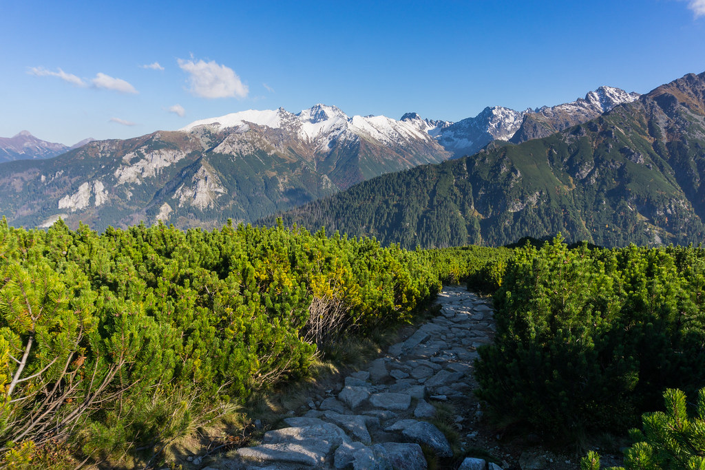 Zakopane on a Budget: Cheap Routes, Stays and Tips — Zakopane, Poland travel guide