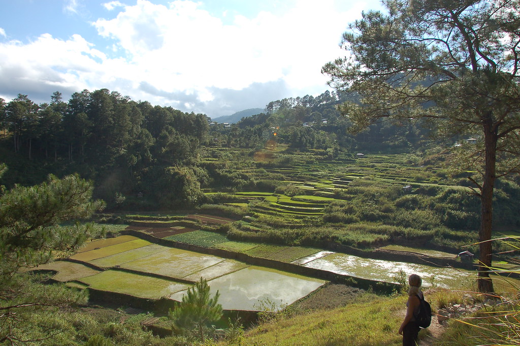 Sagada on a Budget: Cheap Routes, Stays and Tips — Sagada, Philippines travel guide