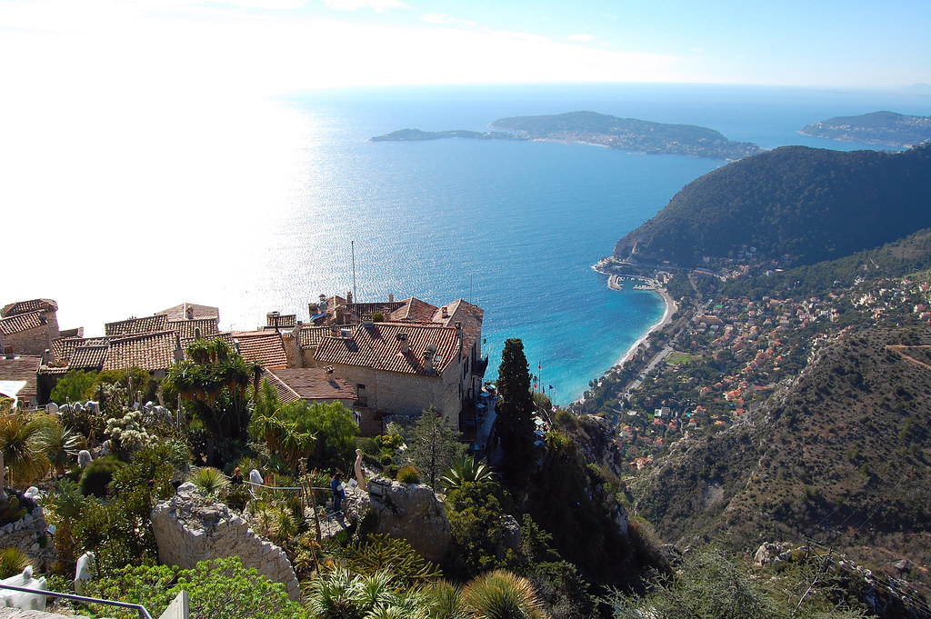 Provence Lavender on a Budget: Cheap Routes, Stays and Tips