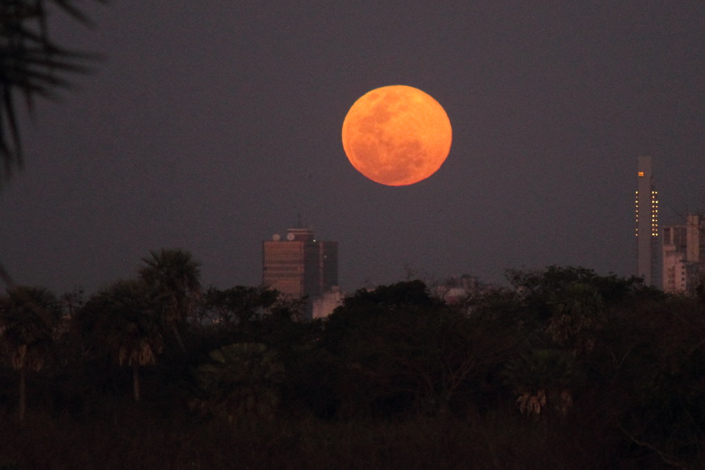 Asuncion on a Budget: Cheap Routes, Stays and Tips — Asuncion, Paraguay travel guide