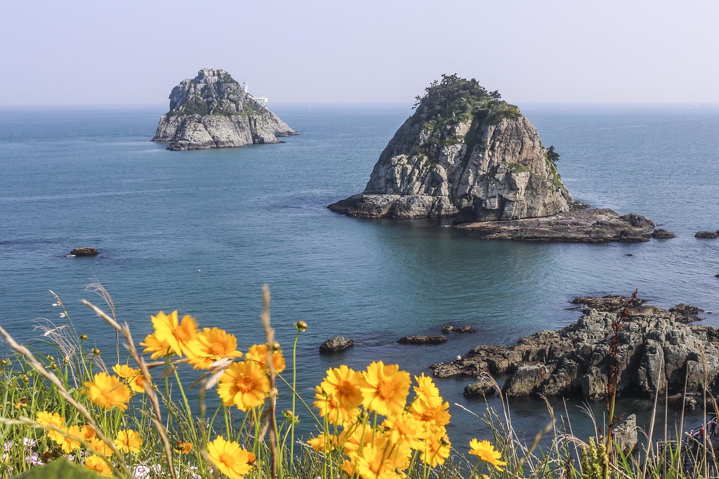 Busan on a Budget: Cheap Routes, Stays and Tips