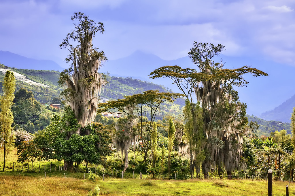 Jardin on a Budget: Cheap Routes, Stays and Tips — Jardin, Colombia travel guide