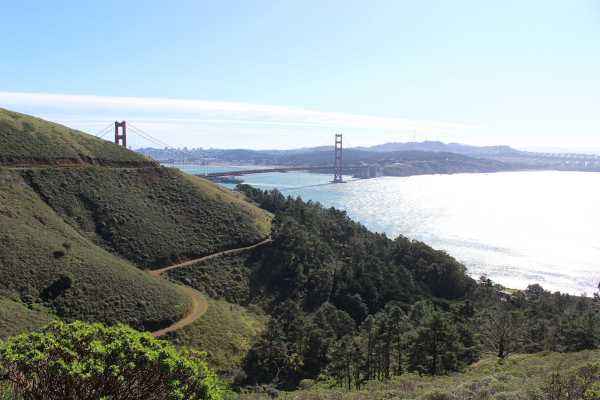 San Francisco on a Budget: Affordable Routes and Free Things to Do — San Francisco travel guide