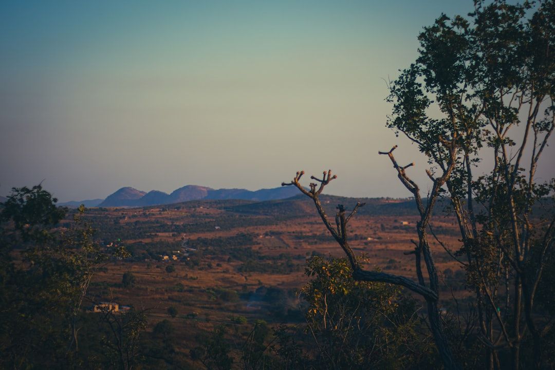 Zambia countryside nature landscape