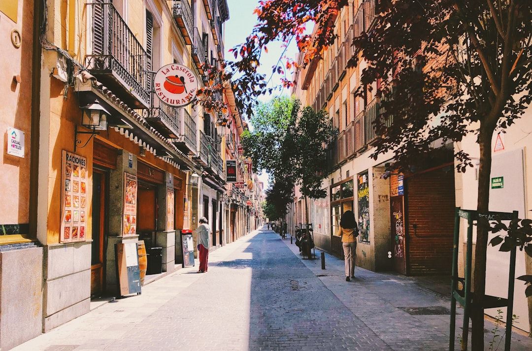 Buses, which are better than their reputation in Madrid