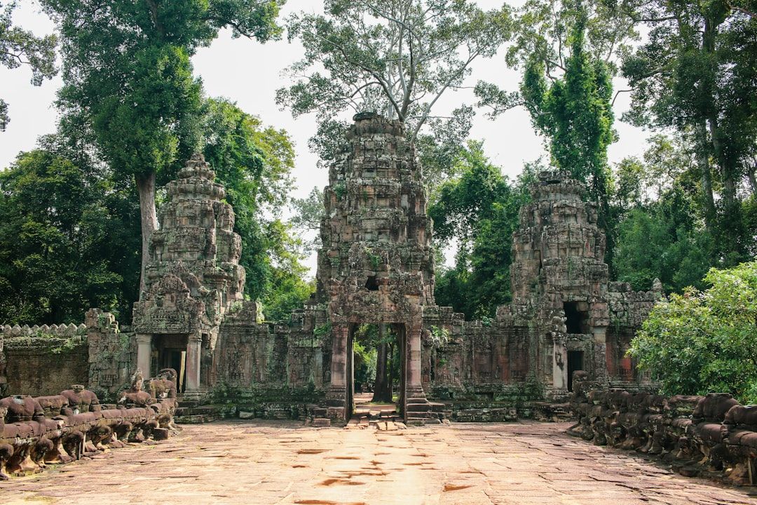 The Angkor pass in Siem Reap