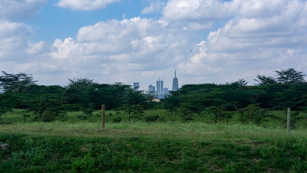 When to Visit Kenya: Month by Month, Weather by Weather